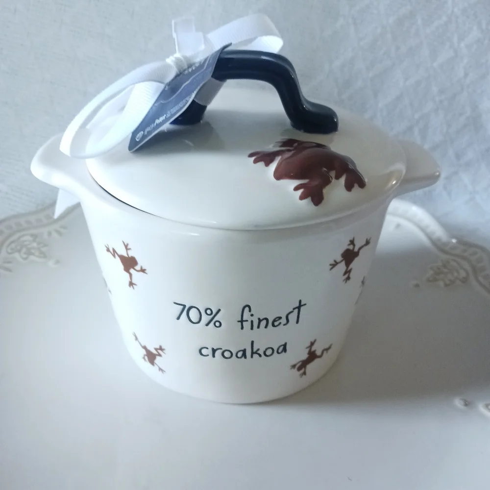 Rae Dunn × Harry Potter Wizarding World Chocolate Frog Bake Dish - Picture 13 of 15